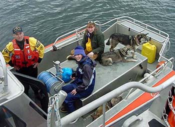 Women & Dogs Rescued