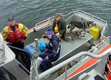 Coast Guard Rescues Women & Dogs