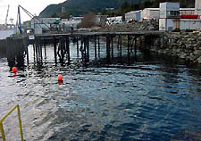 scene in the afternoon May 2 where a crane toppled into the water