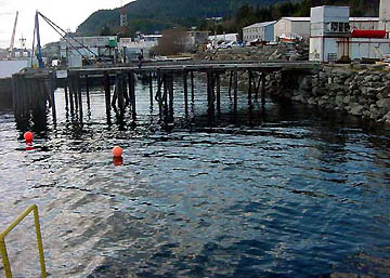 Scene in the afternoon May 2 where a crane toppled into the water