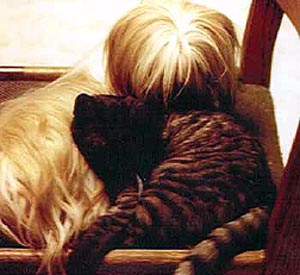 Looca the Dog & Marle the Cat